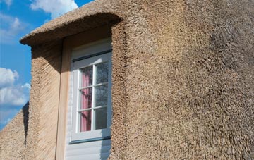 Coanwood thatch roof disadvantages