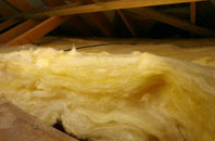 Coanwood pitch roof insulation